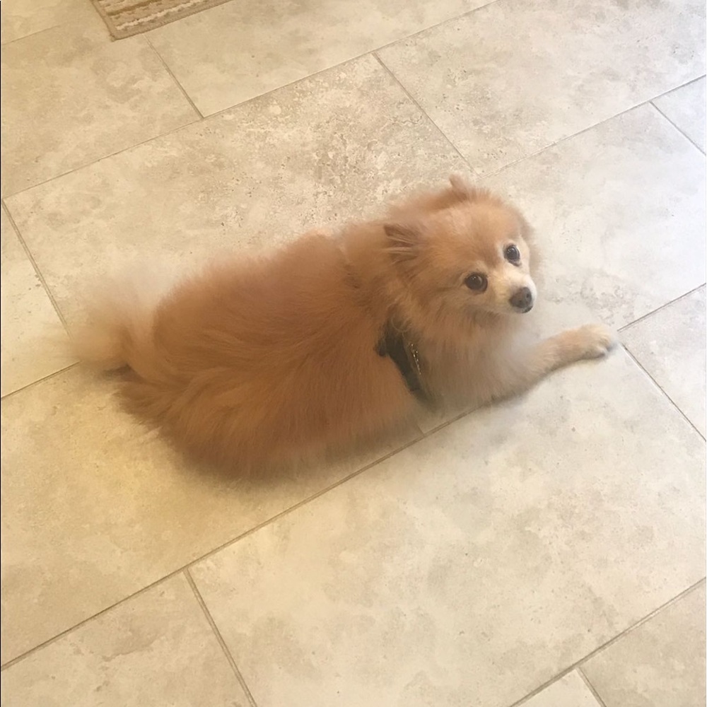 Meet your Posher, Maryanna